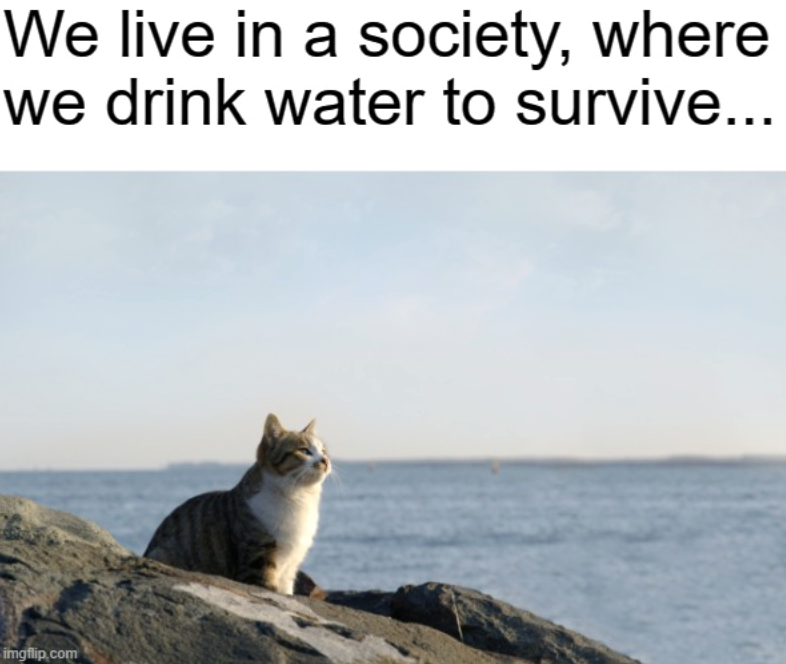 We live in a society, where we drink water to survive... imgflip.com