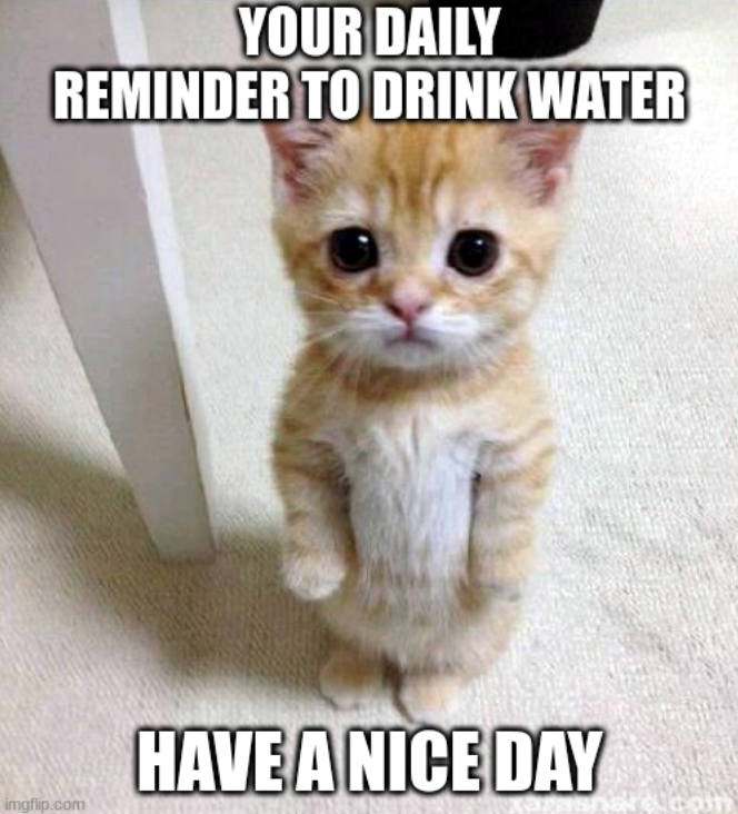 YOUR DAILY REMINDER TO DRINK WATER HAVE A NICE DAY imgflip.com