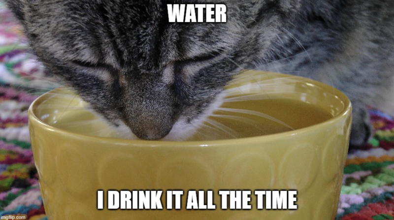 WATER imgflip.com I DRINK IT ALL THE TIME