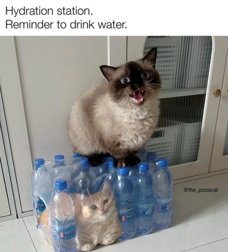 Hydration station. Reminder to drink water. WA WATE WAT ER @the_pizzacat