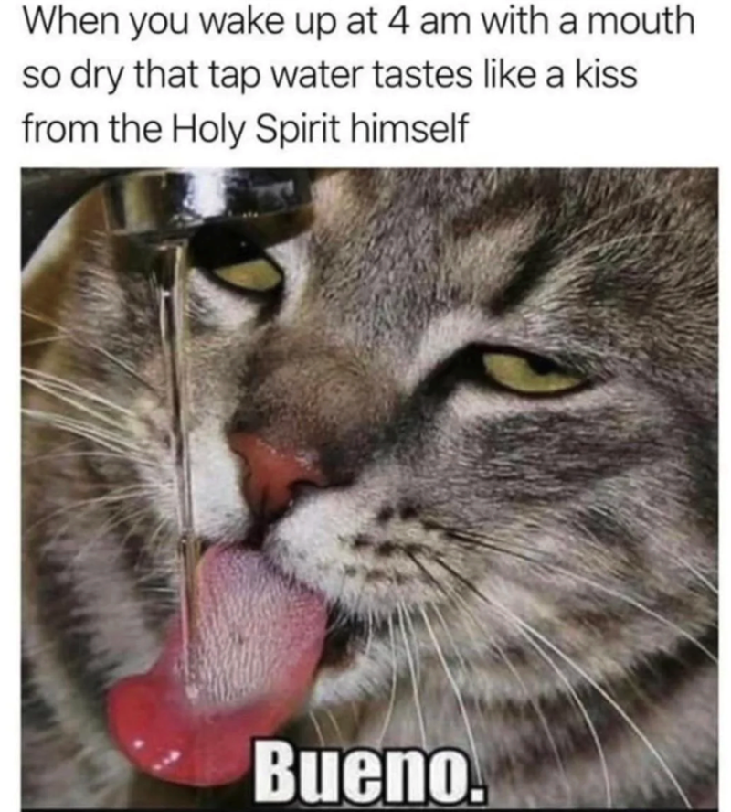 When you wake up at 4 am with a mouth so dry that tap water tastes like a kiss from the Holy Spirit himself Bueno.