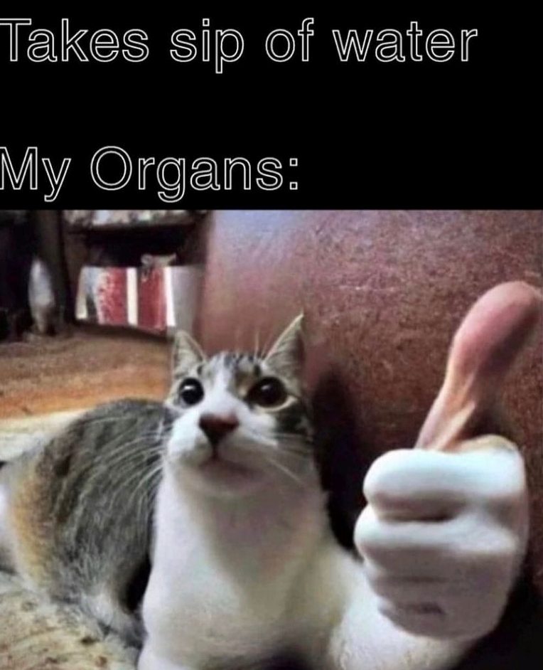 Takes sip of water My Organs: