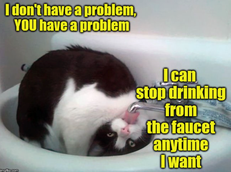 I don't have a problem, YOU have a problem imgflip.com I can stop drinking from the faucet anytime I want