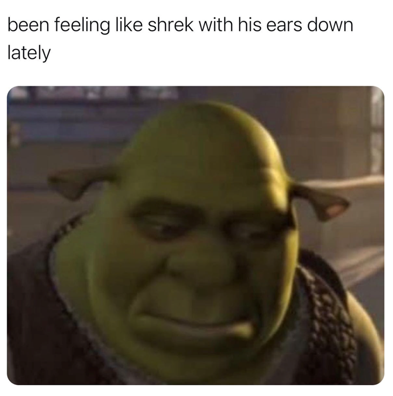 been feeling like shrek with his ears down lately