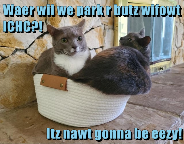 Cheezburger Image 10618110464