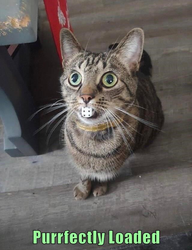 Cheezburger Image 10618111232