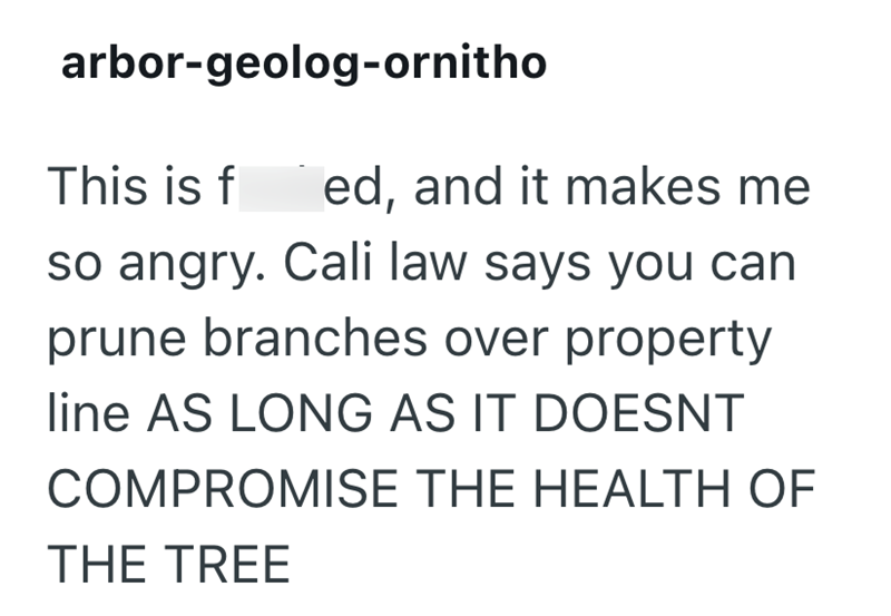 arbor-geolog-ornitho This is f ed, and it makes me so angry. Cali law says you can prune branches over property line AS LONG AS IT DOESNT COMPROMISE THE HEALTH OF THE TREE