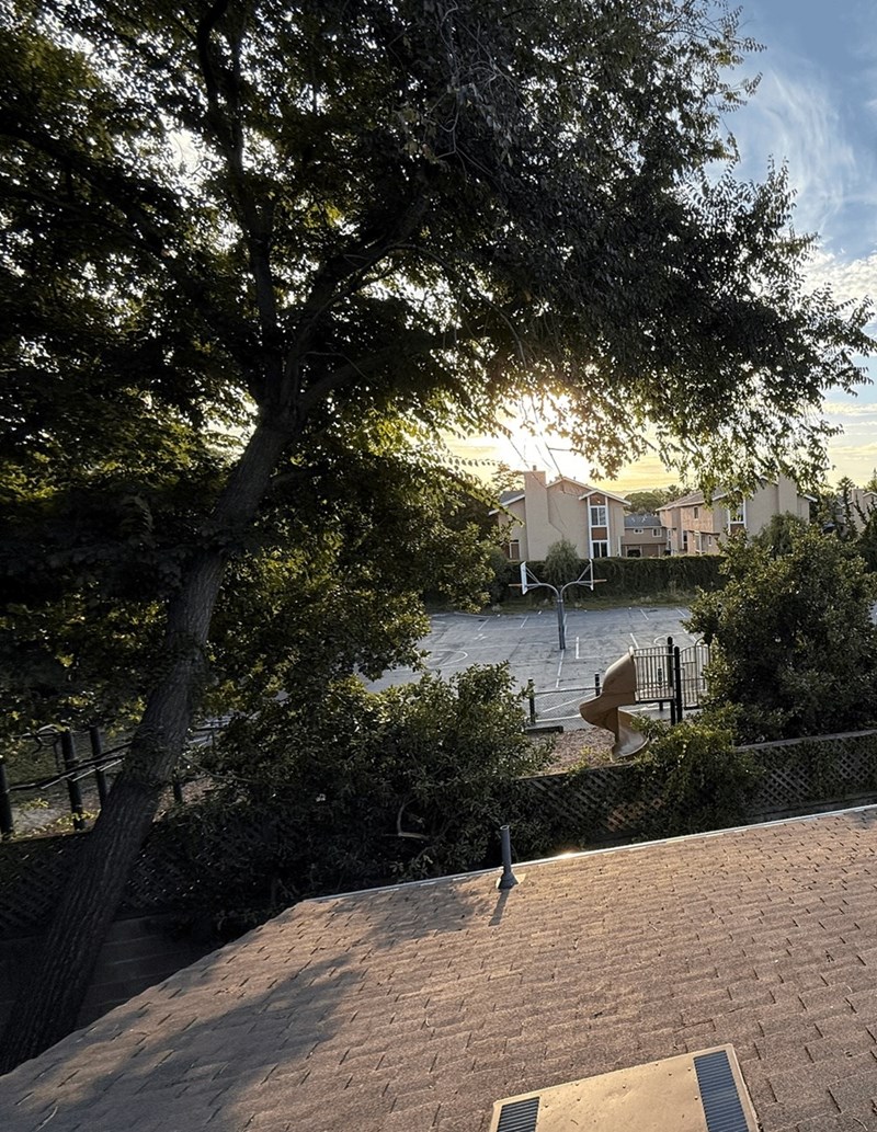 Cheezburger Image 10618113792