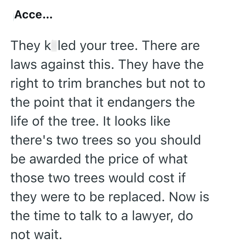 Acce... They k led your tree. There are laws against this. They have the right to trim branches but not to the point that it endangers the life of the tree. It looks like there's two trees so you should be awarded the price of what those two trees would cost if they were to be replaced. Now is the time to talk to a lawyer, do not wait.