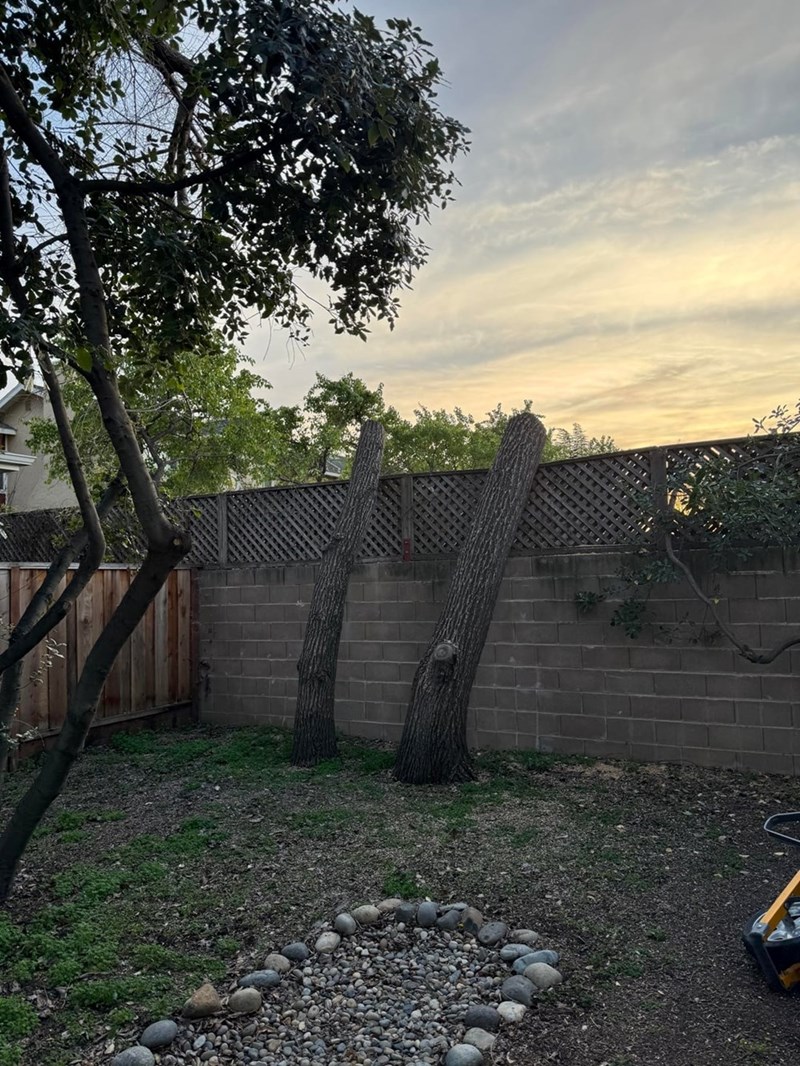 Cheezburger Image 10618114816