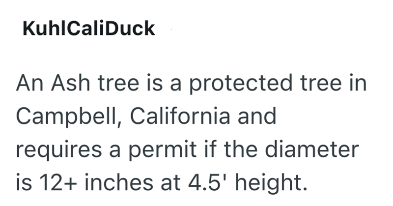 KuhlCaliDuck An Ash tree is a protected tree in Campbell, California and requires a permit if the diameter is 12+ inches at 4.5' height.