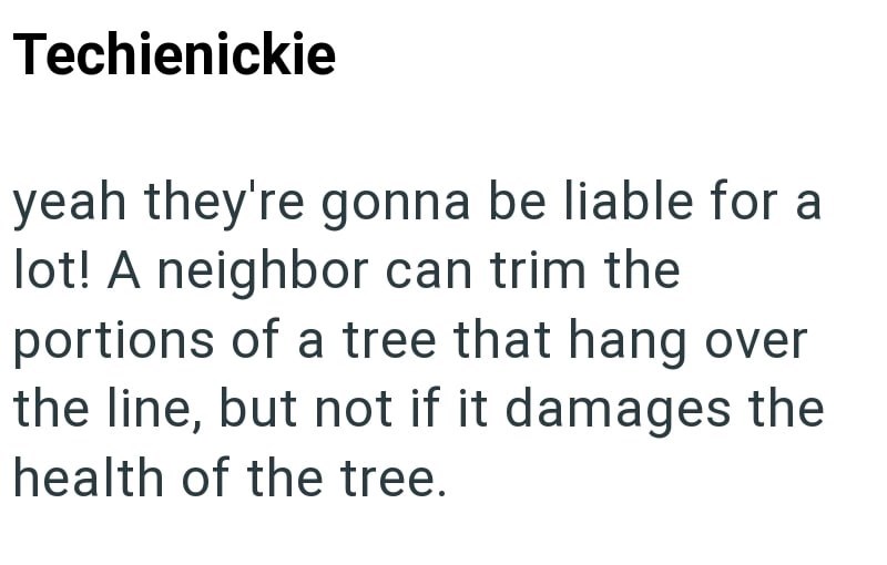 Techienickie yeah they're gonna be liable for a lot! A neighbor can trim the portions of a tree that hang over the line, but not if it damages the health of the tree.