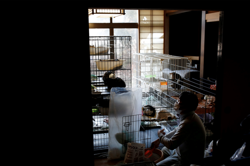 Cheezburger Image 10618120192