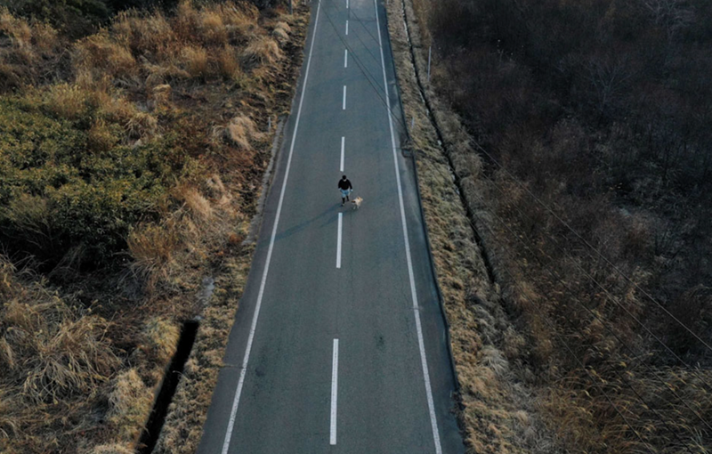 Cheezburger Image 10618120704