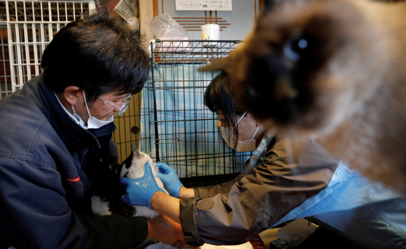 Cheezburger Image 10618121472