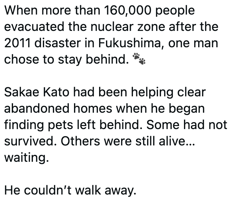 When more than 160,000 people evacuated the nuclear zone after the 2011 disaster in Fukushima, one man chose to stay behind. Sakae Kato had been helping clear abandoned homes when he began finding pets left behind. Some had not survived. Others were still alive... waiting. He couldn't walk away.
