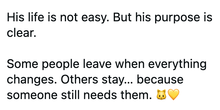 His life is not easy. But his purpose is clear. Some people leave when everything changes. Others stay... because someone still needs them.
