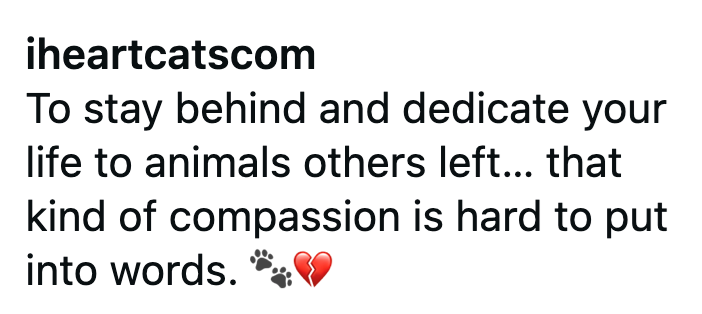 iheartcatscom To stay behind and dedicate your life to animals others left... that kind of compassion is hard to put into words.