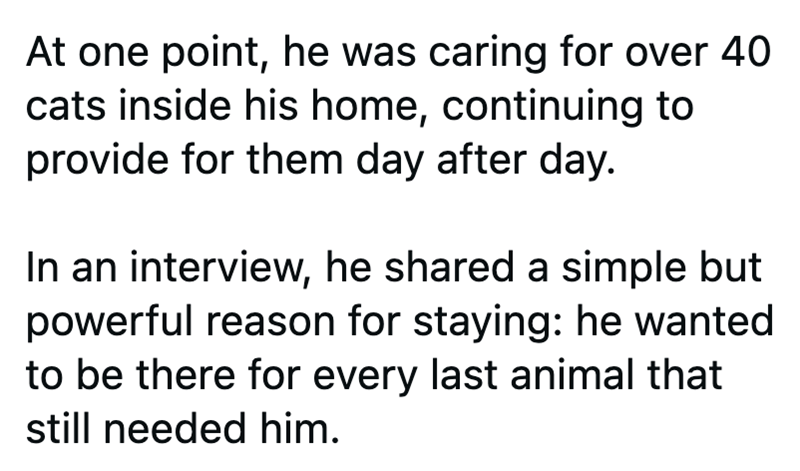 At one point, he was caring for over 40 cats inside his home, continuing to provide for them day after day. In an interview, he shared a simple but powerful reason for staying: he wanted to be there for every last animal that still needed him.