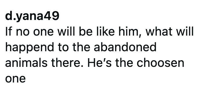 d.yana49 If no one will be like him, what will happend to the abandoned animals there. He's the choosen one