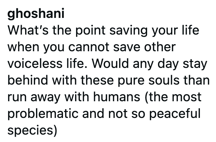 ghoshani What's the point saving your life when you cannot save other voiceless life. Would any day stay behind with these pure souls than run away with humans (the most problematic and not so peaceful species)