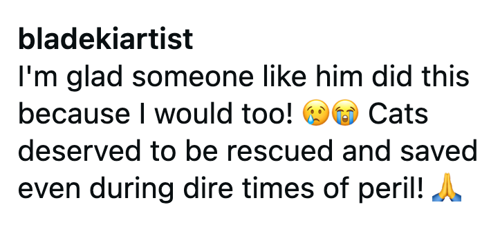 bladekiartist I'm glad someone like him did this because I would too! Cats deserved to be rescued and saved even during dire times of peril!