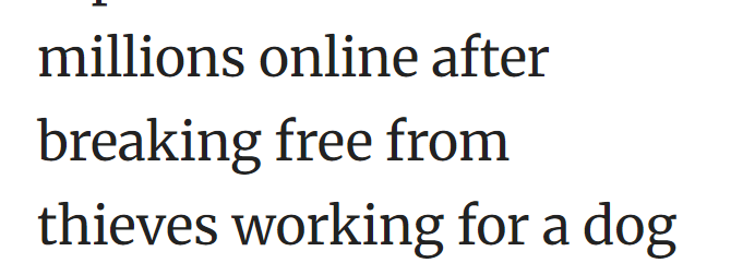 millions online after breaking free from thieves working for a dog