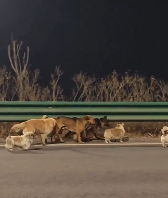 Cheezburger Image 10618132480