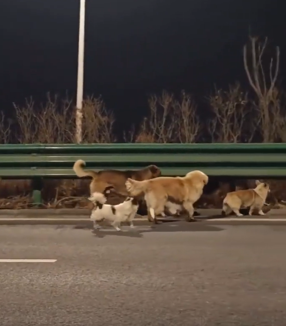 Cheezburger Image 10618133248