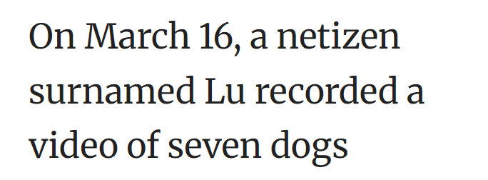 On March 16, a netizen surnamed Lu recorded a video of seven dogs