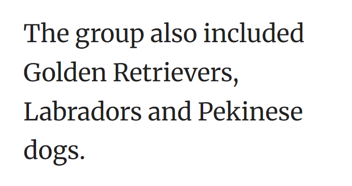 The group also included Golden Retrievers, Labradors and Pekinese dogs.