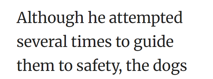 Although he attempted several times to guide them to safety, the dogs