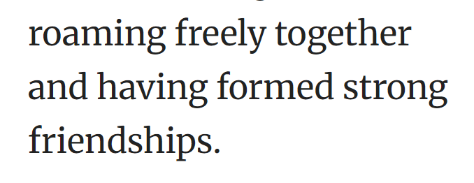 roaming freely together and having formed strong friendships.