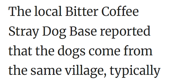 The local Bitter Coffee Stray Dog Base reported that the dogs come from the same village, typically