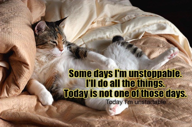 Cheezburger Image 10618137600