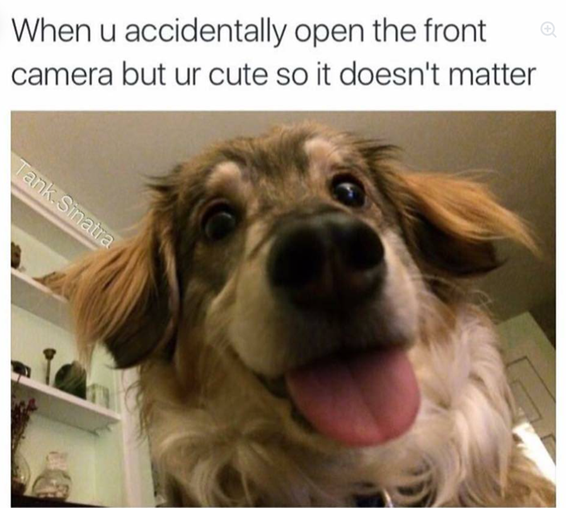 When u accidentally open the front camera but ur cute so it doesn't matter Tank Sinatra