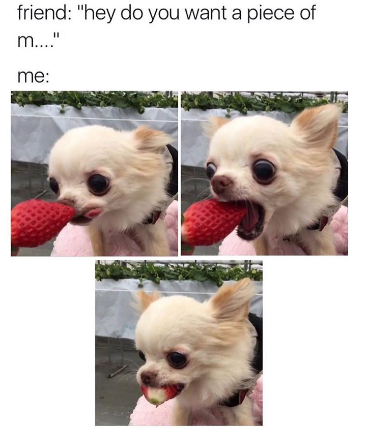 friend: "hey do you want a piece of m...." me: