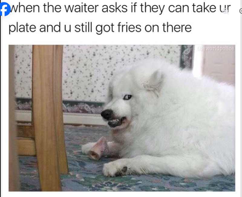 A when the waiter asks if they can take ur plate and u still got fries on there the worldpolice