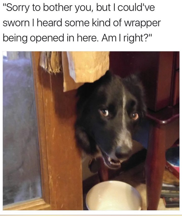 "Sorry to bother you, but I could've sworn I heard some kind of wrapper being opened in here. Am I right?"