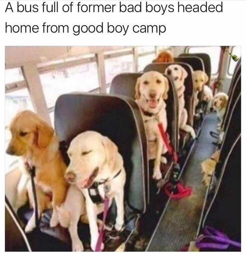 A bus full of former bad boys headed home from good boy camp