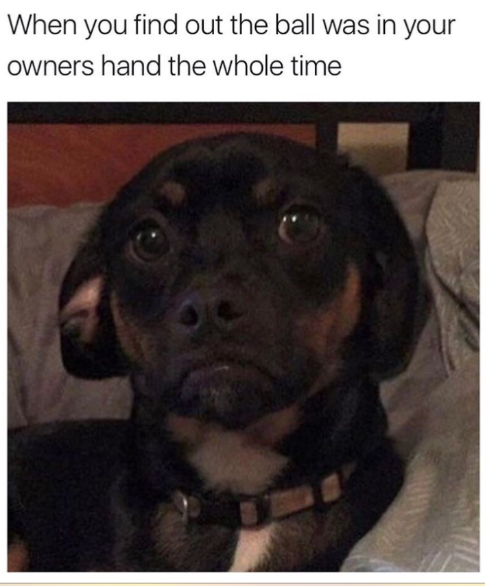 When you find out the ball was in your owners hand the whole time