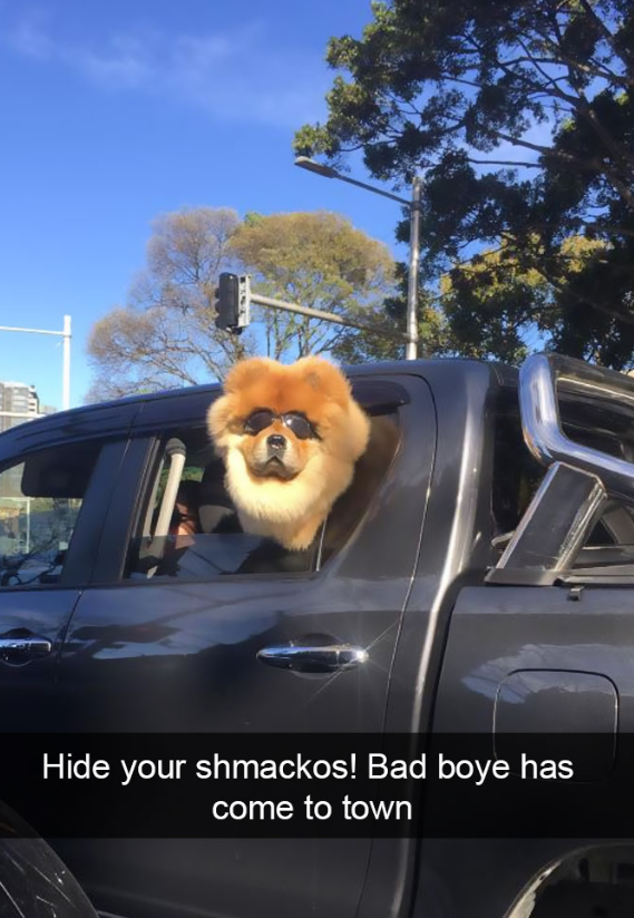 Hide your shmackos! Bad boye has come to town