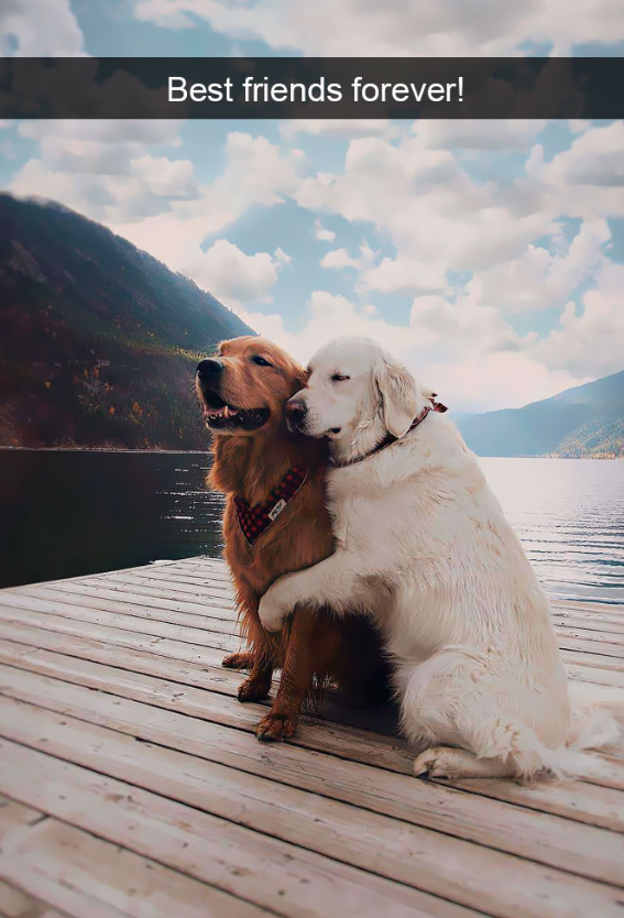 Best friends forever!