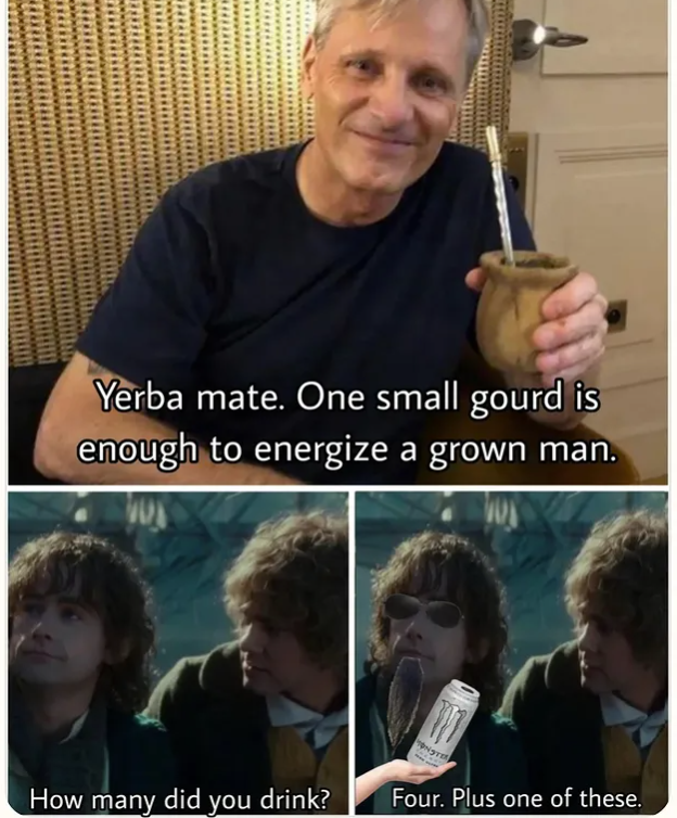 Yerba mate. One small gourd is enough to energize a grown man. How many did you drink? Four. Plus one of these.