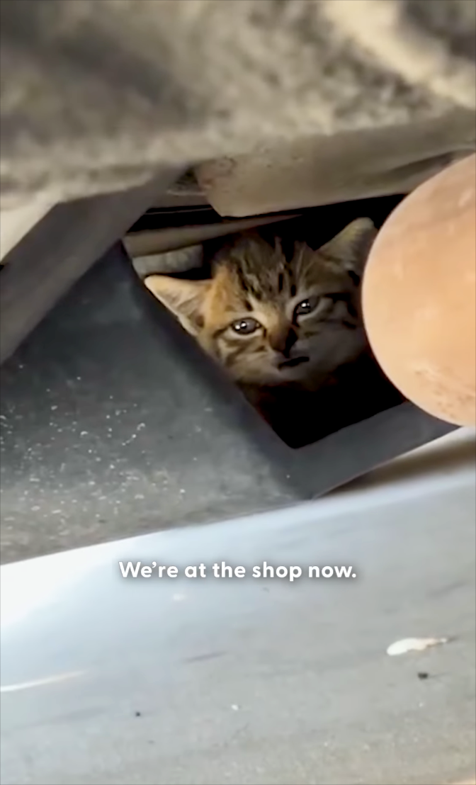 We're at the shop now.