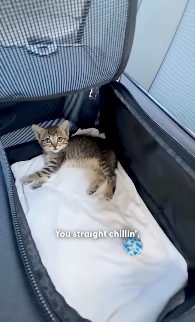 You straight chillin',