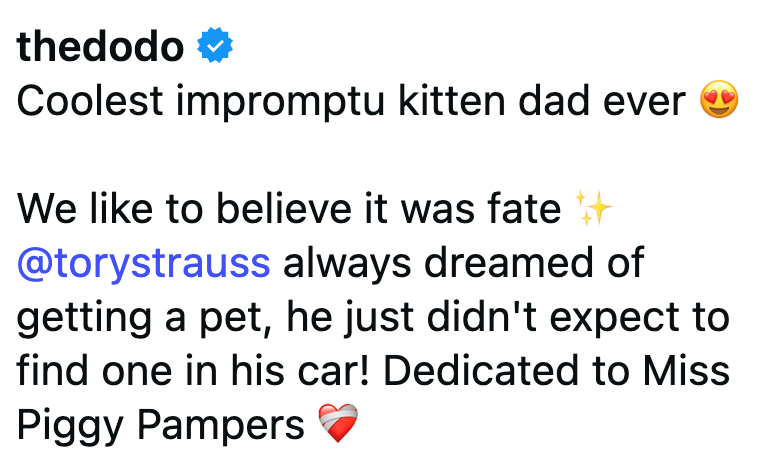 thedodo ❤ Coolest impromptu kitten dad ever We like to believe it was fate ++ @torystrauss always dreamed of getting a pet, he just didn't expect to find one in his car! Dedicated to Miss Piggy Pampers