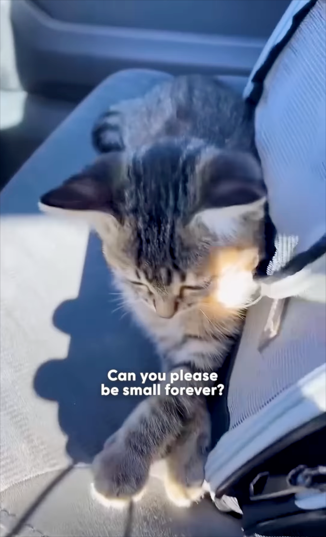 Can you please be small forever?