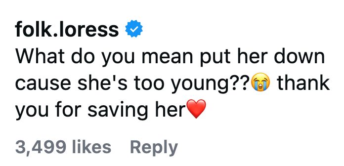 folk.loress ☑ What do you mean put her down cause she's too young??thank you for saving her♥ 3,499 likes Reply
