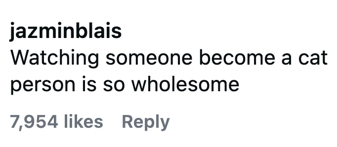 jazminblais Watching someone become a cat person is so wholesome 7,954 likes Reply